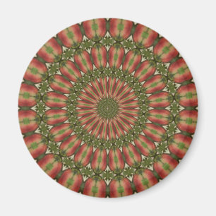 krabbenappel kaleidoscoop rood, groen abstract magneet
