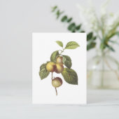 krabbenappel (Malus sp.) van Redouté Briefkaart (Staand voorkant)