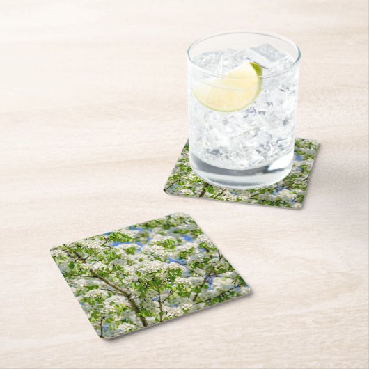 Krabbenappelbloesem Kartonnen Onderzetters (Insitu)