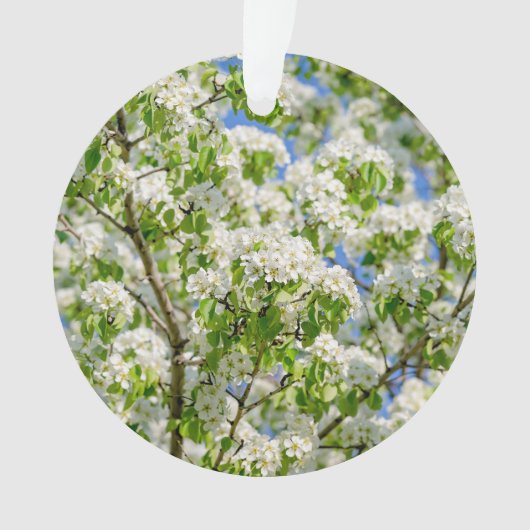 Krabbenappelbloesem Ornament (voorkant)