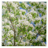 Krabbenappelbloesem Tegeltje (Voorkant)