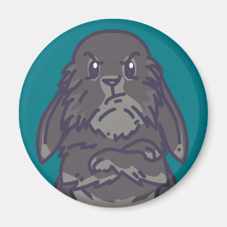 Krabbetmagneet Magneet