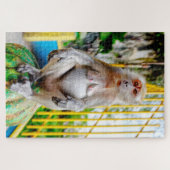 Krabeetende makaak legpuzzel (Horizontaal)