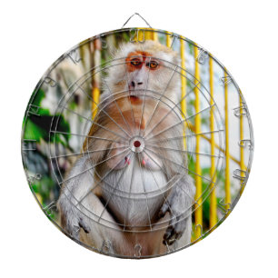 Krabeetende makak dartbord