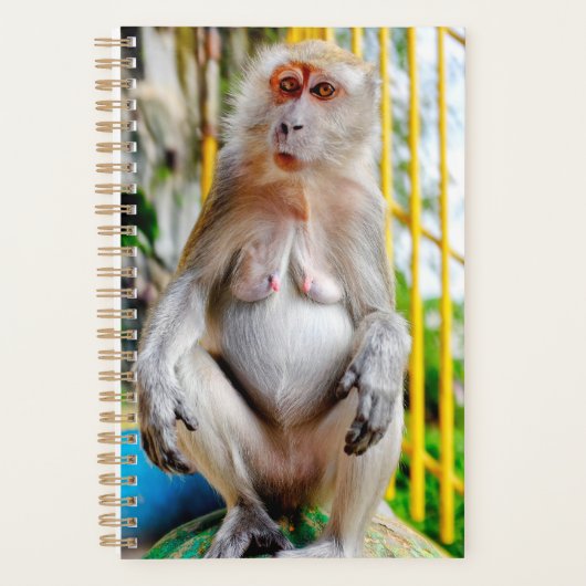 Krabeetende makak planner (Voorkant)