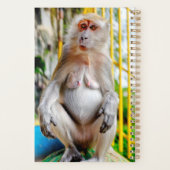 Krabeetende makak planner (Achterkant)