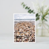 Krabi Thailand | Zeeschelpen op de Seashore Postca Briefkaart (Staand voorkant)