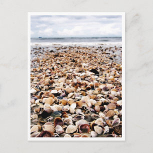 Krabi Thailand   Zeeschelpen op de Seashore Postca Briefkaart
