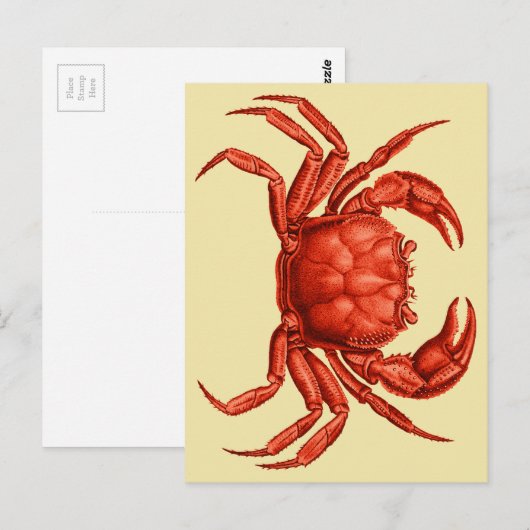  krabontwerp briefkaart (Voorkant / Achterkant)