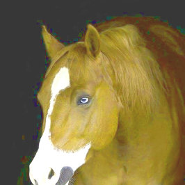 kracht-en-genade legpuzzel