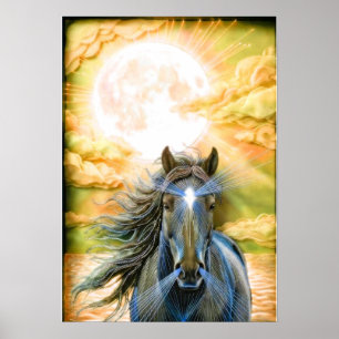kracht en gratie poster
