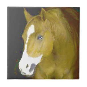 kracht en gratie tegeltje