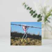 Kracht patser Fubby aan Prikkeldraad. Briefkaart (Staand voorkant)