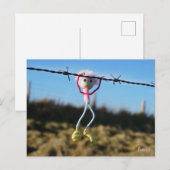 Kracht patser Fubby aan Prikkeldraad. Briefkaart (Voorkant / Achterkant)