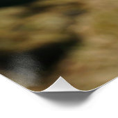 Kracht patser Fubby aan Prikkeldraad. Perfect Poster (Hoek)