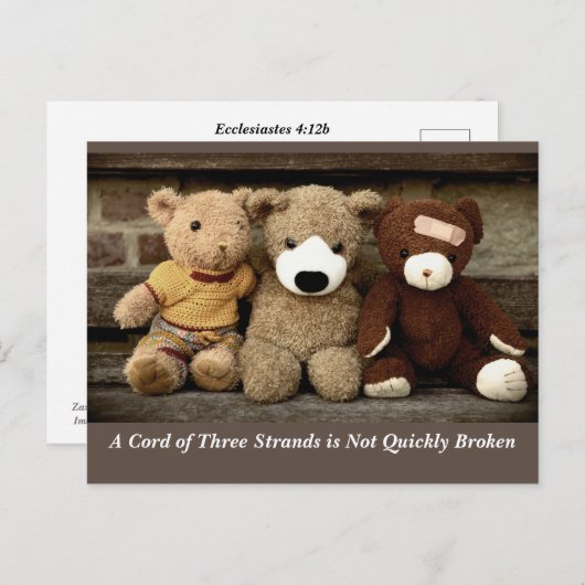 Kracht van Vriendschap Prediker 4:12 Briefkaart (Voorkant / Achterkant)