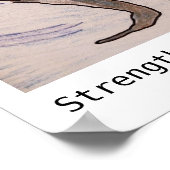 Kracht verpakt in schoonheid poster (Hoek)