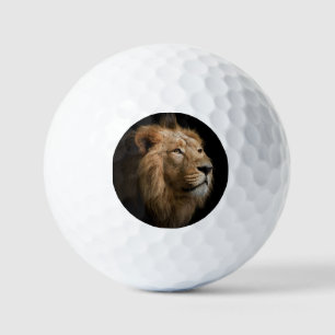 Krachtig leeuwenportret met donkere achtergrond golfballen