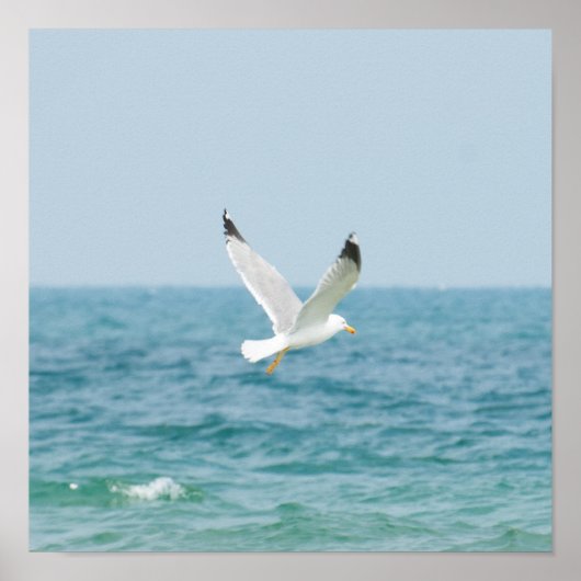 Krachtig vliegen boven zee poster (Voorkant)