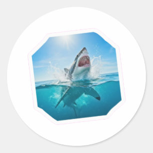 Krachtige Grote Witte Haai - Majestueuze Oceaan Ro Ronde Sticker