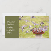 Krachtige kudde van Cedar Waxwings Aankondiging (Voorkant)