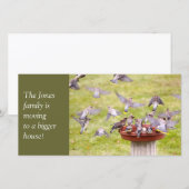 Krachtige kudde van Cedar Waxwings Aankondiging (Voorkant / Achterkant)