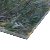 Krachtige Leeuwin – Wildelevensmoment Snijplank (Hoek)