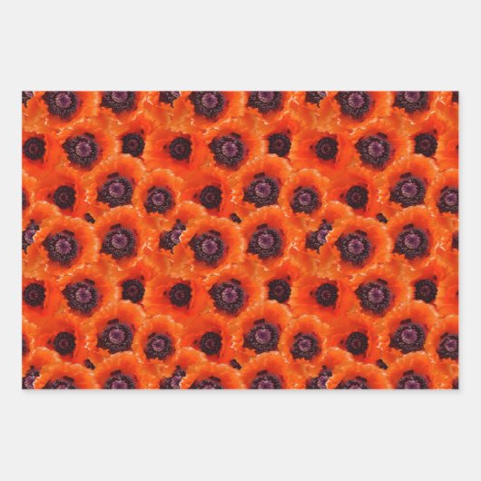 Krachtige papierbladen voor papavers inpakpapier vel (Voorkant 3)