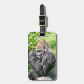 Krachtige Silverback Gorilla te midden van groen g Bagagelabel (Voorkant verticaal)