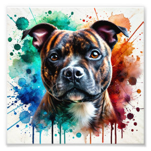 Krachtige Staffordshire Bull Terrier Waterverf Art Foto Afdruk