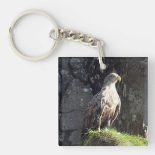 Krachtige witstaartarend Habitat Oceaanklif Sleutelhanger