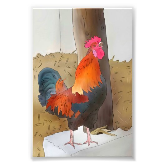 Krähender Hahn Foto Afdruk (Voorkant)