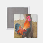 Krähender Hahn Magneet (Voorkant / Achterkant)