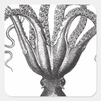☞ Krake / The Kraken Vintage Vierkante Sticker