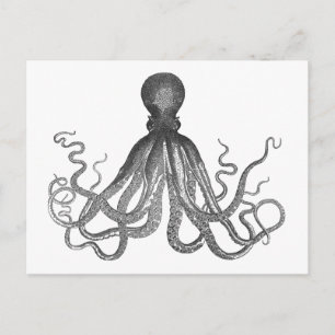 Kraken - Black Giant Octopus / Cthulu Briefkaart