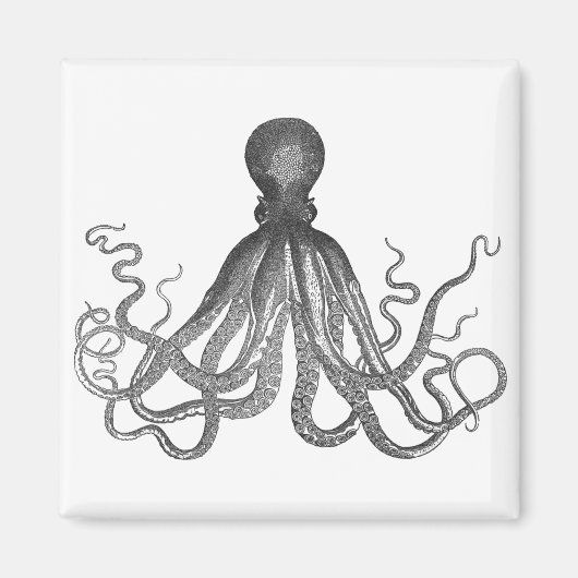 Kraken - Black Giant Octopus / Cthulu Magneet (Voorkant)