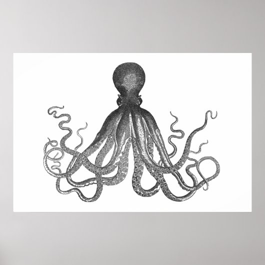 Kraken - Black Giant Octopus / Cthulu Poster (Voorkant)
