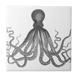 Kraken - Black Giant Octopus / Cthulu Tegeltje