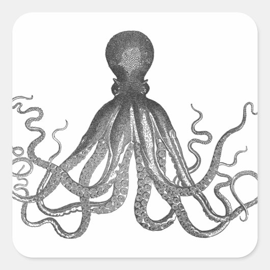 Kraken - Black Giant Octopus / Cthulu Vierkante Sticker (Voorkant)