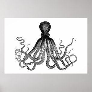 Kraken - Black Giant Octopus (extra groot) Poster