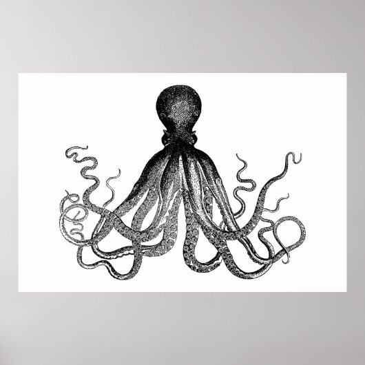 Kraken - Black Giant Octopus (extra groot) Poster (Voorkant)