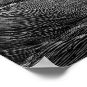 Kraken Giant Squid Zee Monster Ship Poster (Hoek)