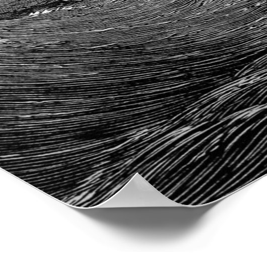 Kraken Giant Squid Zee Monster Ship Poster (Hoek)