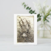  Kraken / Reuzenoctopus Briefkaart (Staand voorkant)