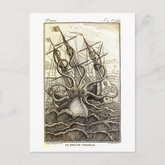  Kraken / Reuzenoctopus Briefkaart (Voorkant)