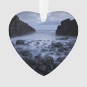 Krakjes en Rocks langs de Ocean Shoreline Orname Ornament (achterkant)