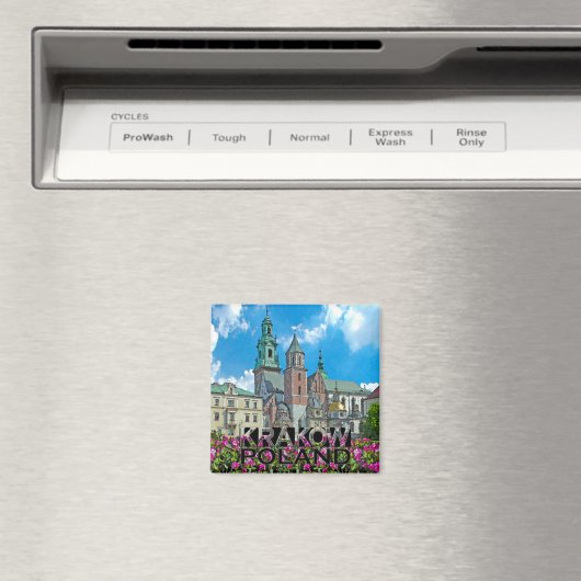 Krakow Magneet (Insitu (Vaatwasser))