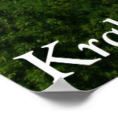 Kraków, Polen Poster (Hoek)