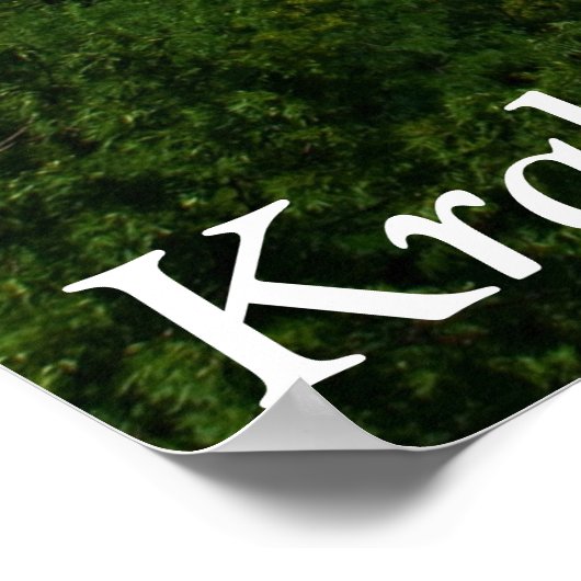 Kraków, Polen Poster (Hoek)