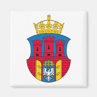 Krakow Wapenmagneet Magneet